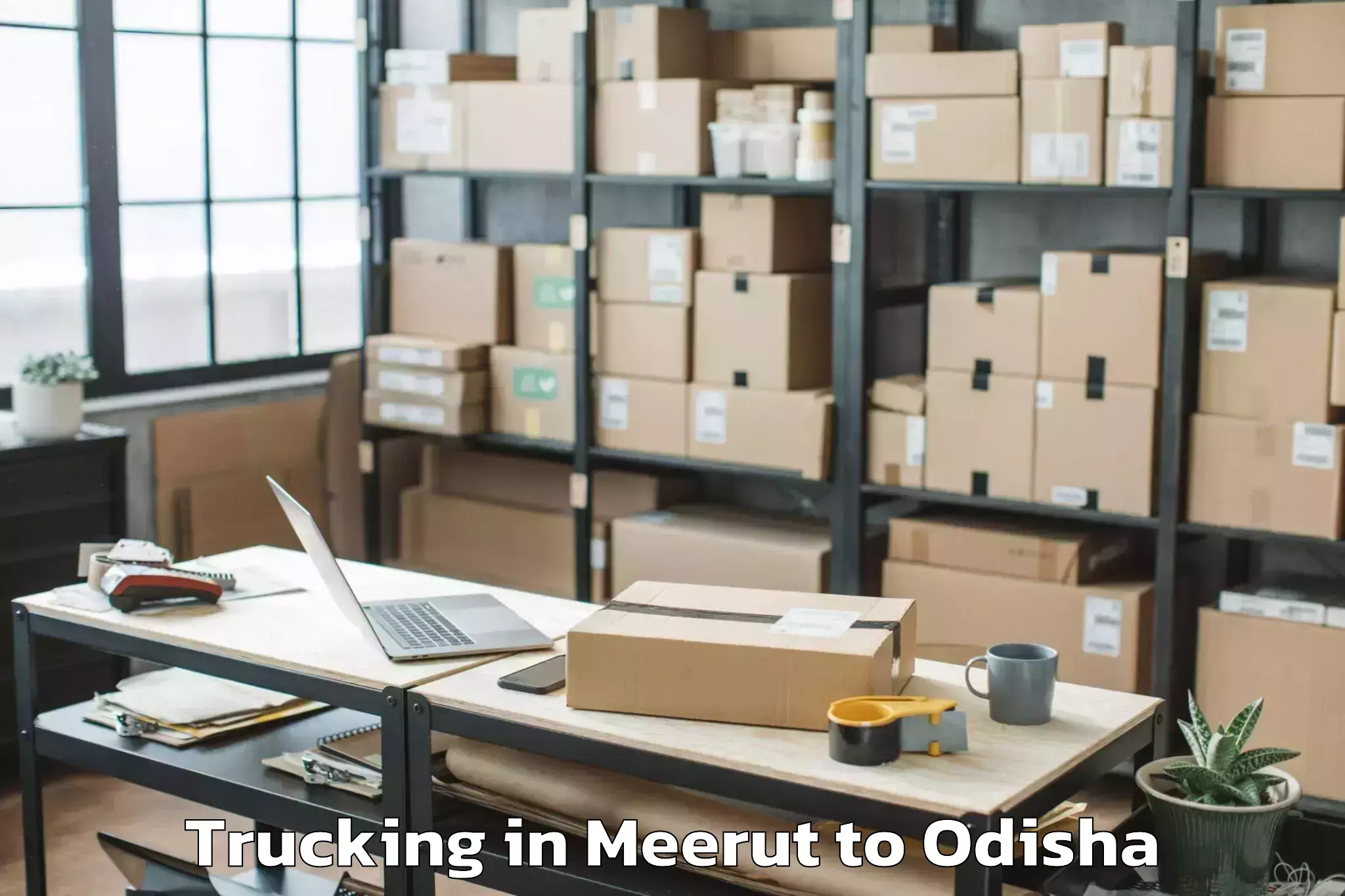 Get Meerut to Radhakishorepur Trucking